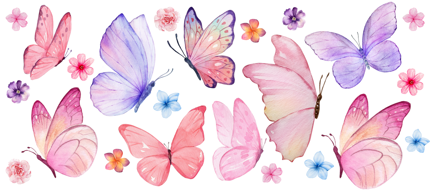 Colorful butterflies 🦋